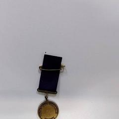 Medaille Airborne, zoals gemeld door De Vierdaagse met iLost