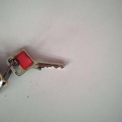 Clau, segons ha informat Twisto mitjançant iLost