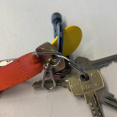 Sleutelbos, zoals gemeld door HTM met iLost