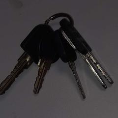 Porte-clés, a été signalé par Arriva West-Brabant utilisant iLost