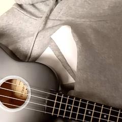 الغيتار & هودي Grey، كما تم الإبلاغ عنه بواسطة Mövenpick Hotel Amsterdam City Centre عبر iLost