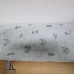 Manta, como reportado por IKEA Heerlen utilizando o iLost