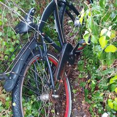 Fiets, ha sido reportado a iLost