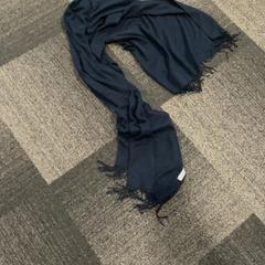 Schal Blauw, gemeldet von Jaarbeurs über iLost