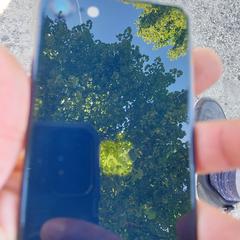 Apple iphon, come riportato a iLost