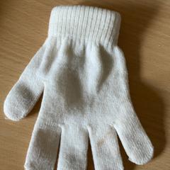 Kesztyű, amint azt Schönbrunn "Group Center" az iLost segítségével jelentette.