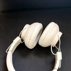 Auriculars, segons ha informat RRReis IJssel-Vecht mitjançant iLost