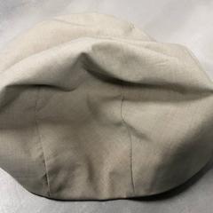 Hatt, rapporterat av Arriva Friesland / Groningen med iLost