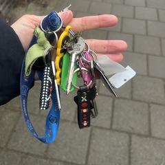 Sleutelbos, iLost'a bildirildiği gibi