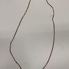 Collar, ha sido reportado por IKEA新三郷 con iLost