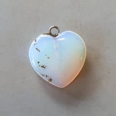 Hänge Hart wit, rapporterat av DierenPark Amersfoort med iLost