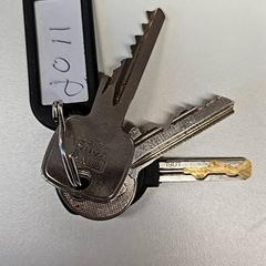 Portachiavi, come riportato da Gemeente Zutphen utilizzando iLost