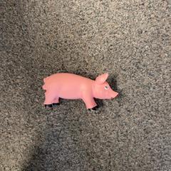 Leketøy Varken, som rapportert av Burgers' Zoo ved bruk av iLost