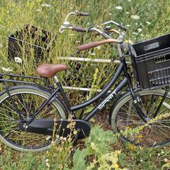 Fiets merk Spirit an iLost gemeldet