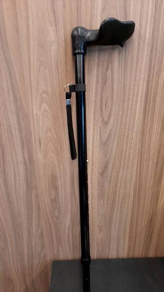 Walking stick