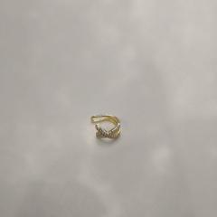 Arracada gold, segons ha informat TU/e - Receptie MetaForum mitjançant iLost