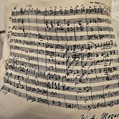 Tas met kleding, som rapportert av Vrije Universiteit Amsterdam ved bruk av iLost