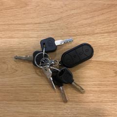 Portachiavi, come riportato da Gemeente Alkmaar utilizzando iLost