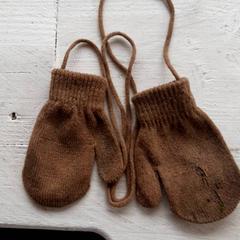 Rukavice Bruin, ako bolo nahlásené DierenPark Amersfoort pomocou iLost