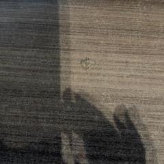 Hangertje, zoals gemeld door Van der Valk Hotel Haarlem met iLost