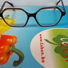 Bril bruin, segundo informou Centraal magazijn usando iLost