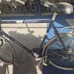 Herresykkel, som rapportert av Gemeente Roermond ved bruk av iLost