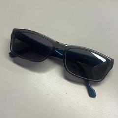 Des lunettes de soleil zwart/blauw, a été signalé par Burgers' Zoo utilisant iLost