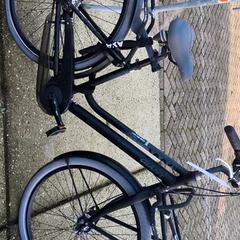 Bicicletta Giant, come riportato da Stadswerk072 utilizzando iLost