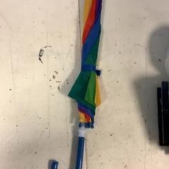 Paraigües Regenboog, segons ha informat Artis mitjançant iLost