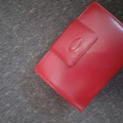 Lommebøker Derboven M, som rapportert av Regio Limburg - Leuven ved bruk av iLost