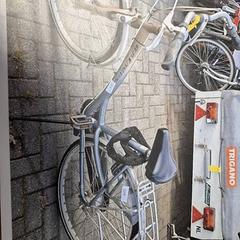 Női kerékpár, amint azt Gemeente Roermond az iLost segítségével jelentette.