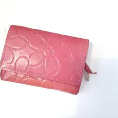 Wallet Pieck N, as reported by Regio Limburg - Leuven using iLost