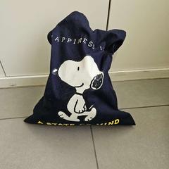 Taška, jak nahlášeno Regio Antwerpen - Brussel pomocí iLost