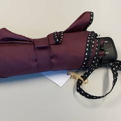 Parapluie, a été signalé par Regio Oost-Vlaanderen utilisant iLost