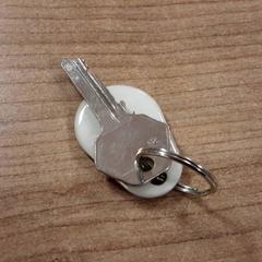 Chave, como reportado por Connexxion Haarlem AML utilizando o iLost