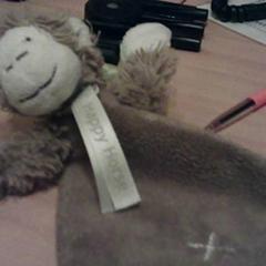 Plüss Aapje grijs, amint azt Het Spoorwegmuseum az iLost segítségével jelentette.