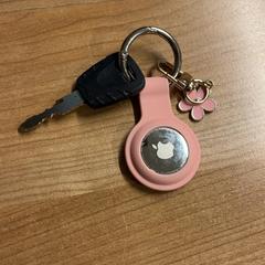 Sleutel, a été signalé par Pathé Spuimarkt utilisant iLost