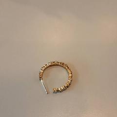 귀걸이 Goudkleurig, iLost를 사용하여 LUMC에 보고됨