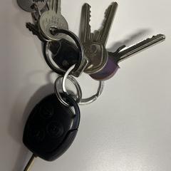 Sleutelbos, jak bylo nahlášeno na iLost