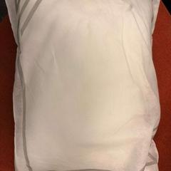 Coussin, a été signalé par Ramada by Wyndham Amsterdam Airport Schiphol utilisant iLost