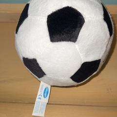 Ball Rammelaar, as reported by Familie Resort Molenwaard using iLost