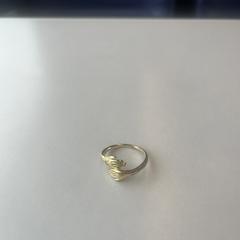 Ring handjes goudkleur, som rapporterats till iLost