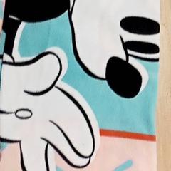 Verschiedene Deken, gemeldet von Regio Antwerpen - Brussel über iLost