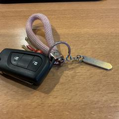مفتاح السيارة، كما تم الإبلاغ عنه بواسطة Gemeente Amsterdam - Bureau Gevonden Voorwerpen عبر iLost
