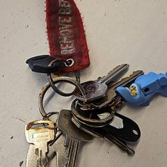 Key, as reported by GVB using iLost