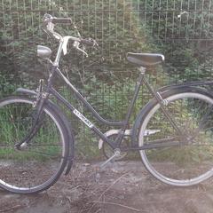 Bicicleta masculina Gloriant blauw, segons ha informat Fietsdepot mitjançant iLost