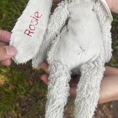 Knuffel Rosie, como reportado ao iLost