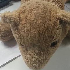 Peluix, segons ha informat IKEA Gent mitjançant iLost