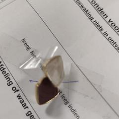 الأقراط Bruin/wit، كما تم الإبلاغ عنه بواسطة VITAZ campus Sint-Niklaas عبر iLost