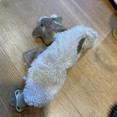 Cumlík, ako bolo nahlásené Designer Outlet Roosendaal pomocou iLost